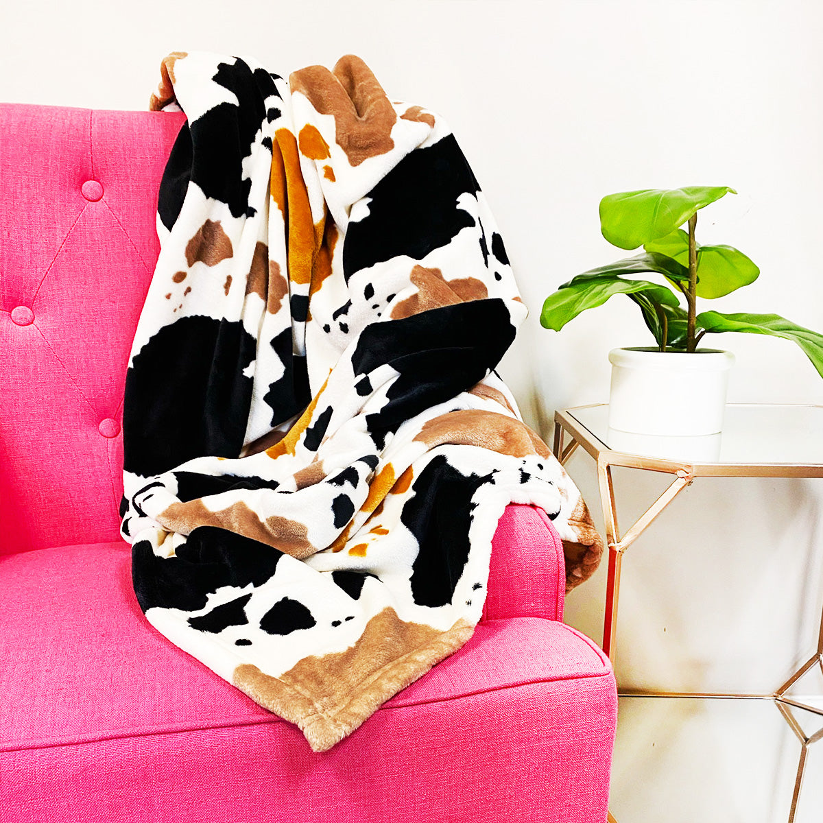 Herd That Blanket