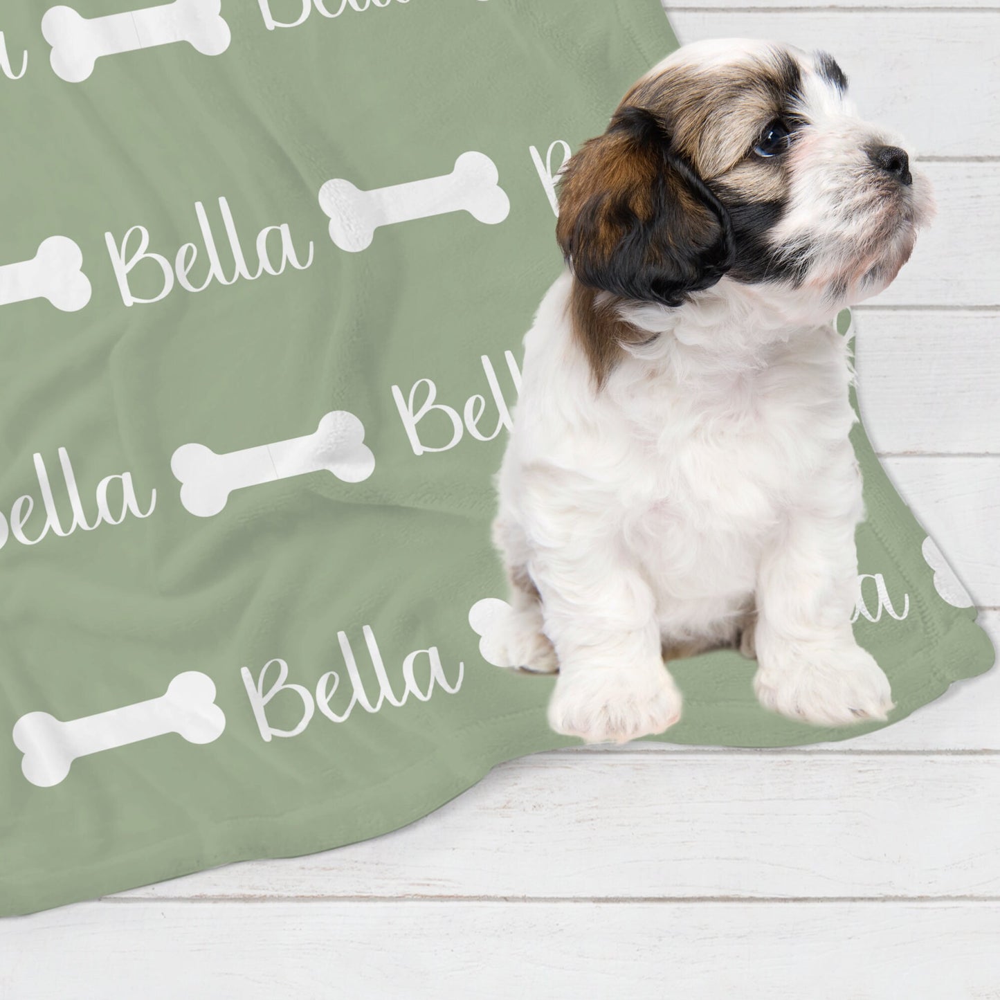 Custom Pet Name Pet